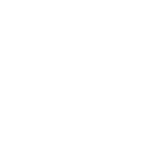 shield with a checkmark icon